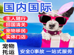 三家子机场快运国际宠物托运 【国